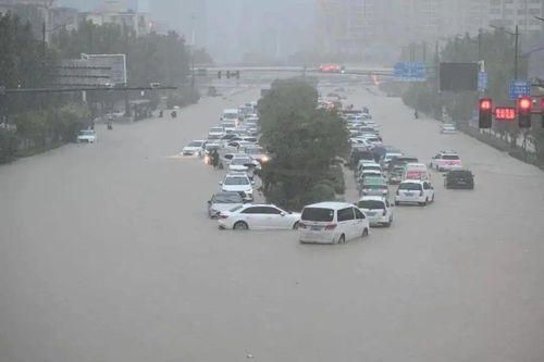 郑州天气暴雨播报内容有哪些