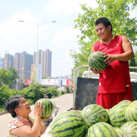 郑州摆摊直播间有哪些